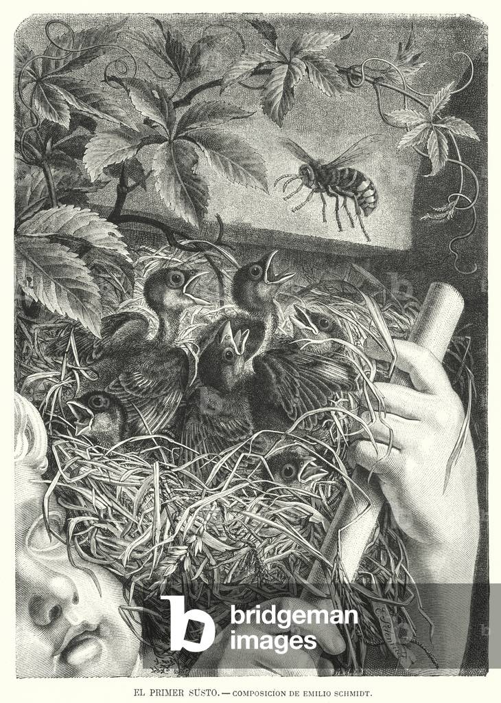 The First Scare (litho)