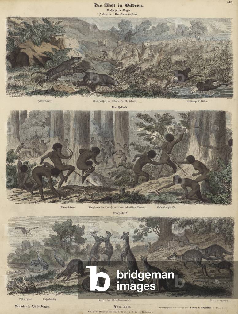 Australia (coloured engraving)