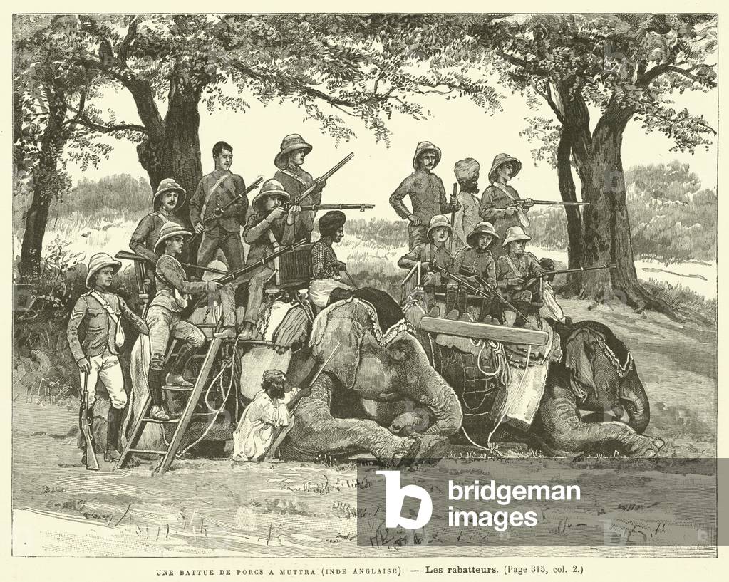 Une Battue De Porcs A Muttra (Inde Anglaise) (engraving)