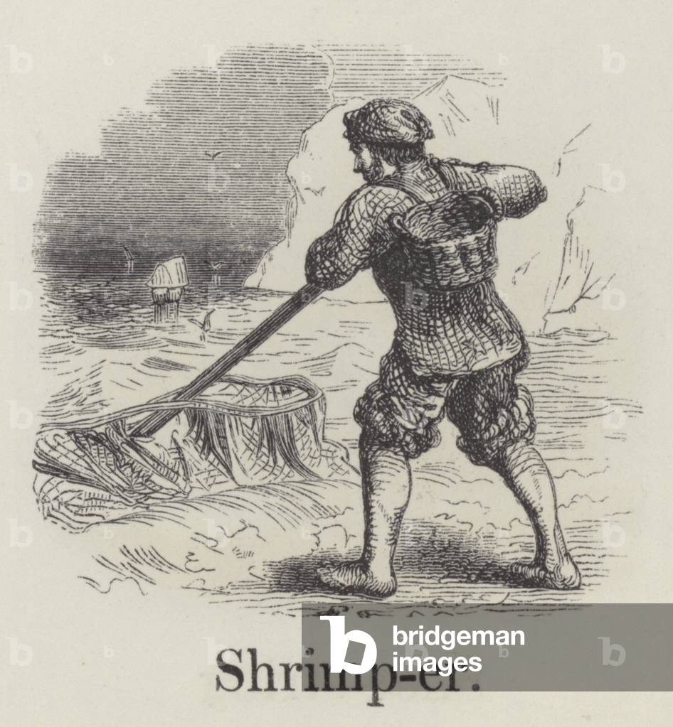 Shrimper (engraving)