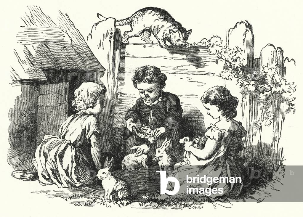 Children feeding rabbits (engraving)