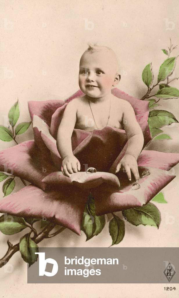 Baby in a rose (colour photo)