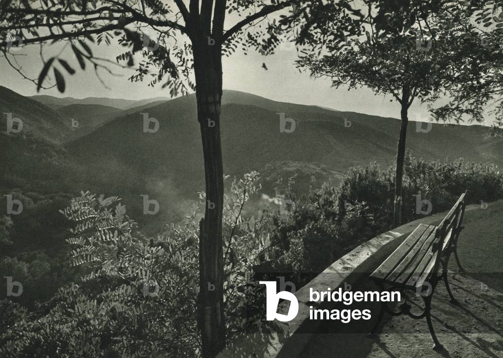 Turkey: Yesil Yalova, Surroundings of the Green Yalova (b/w photo)