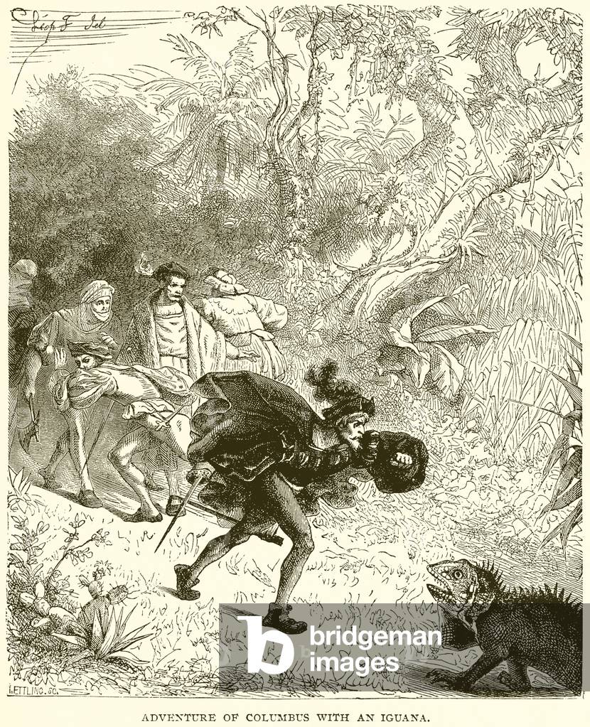 Adventure of Columbus with an Iguana (engraving)
