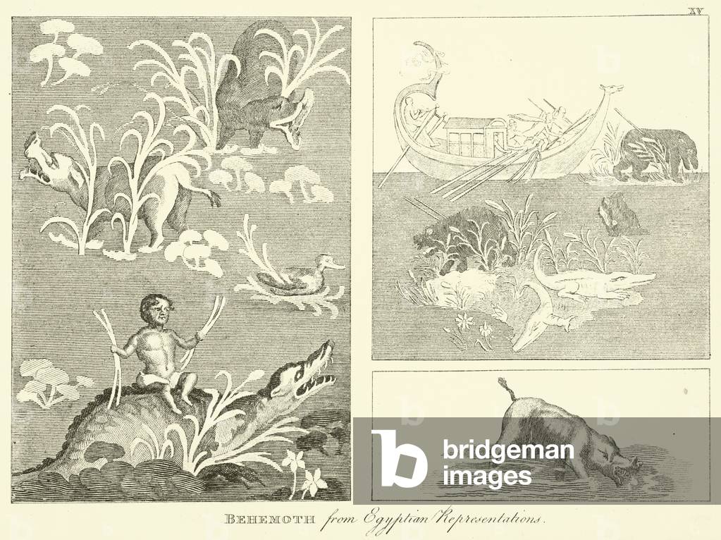 Behemoth, from Egyptian Representations (engraving)