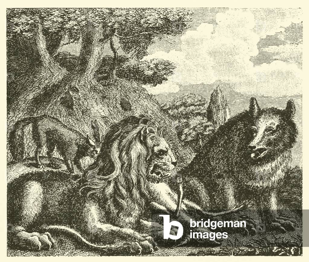 The lion, the bear, and the fox (engraving)