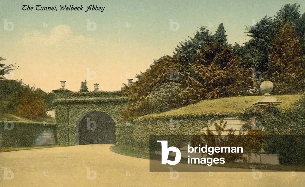 The Tunnel, Welbeck Abbey (colour photo)