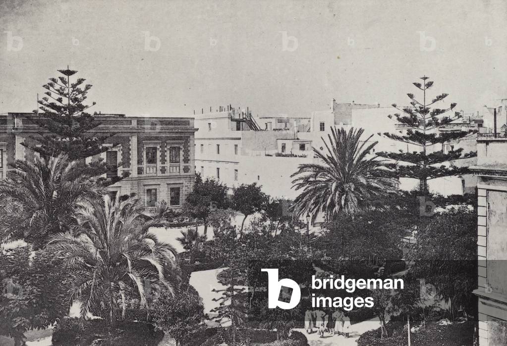 Cadiz: Plaza de la Reina (b/w photo)