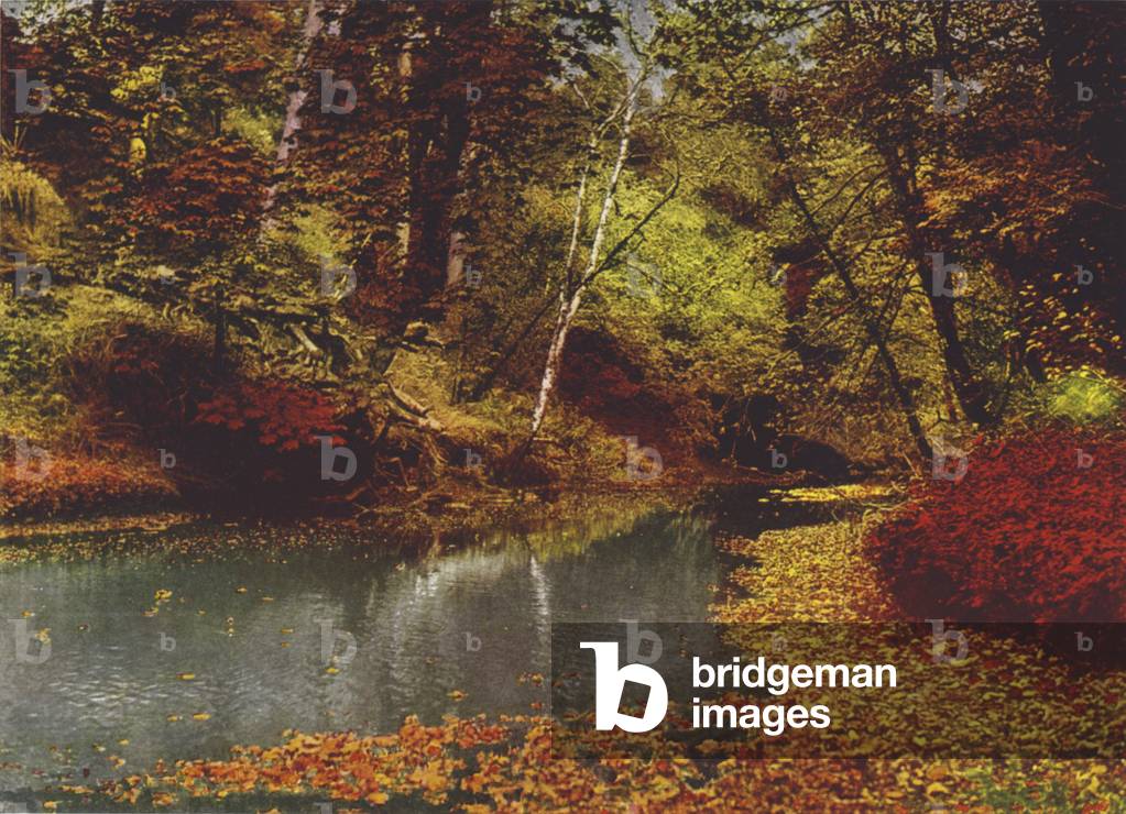 At Colebrooke, County Fermanagh (colour photo)