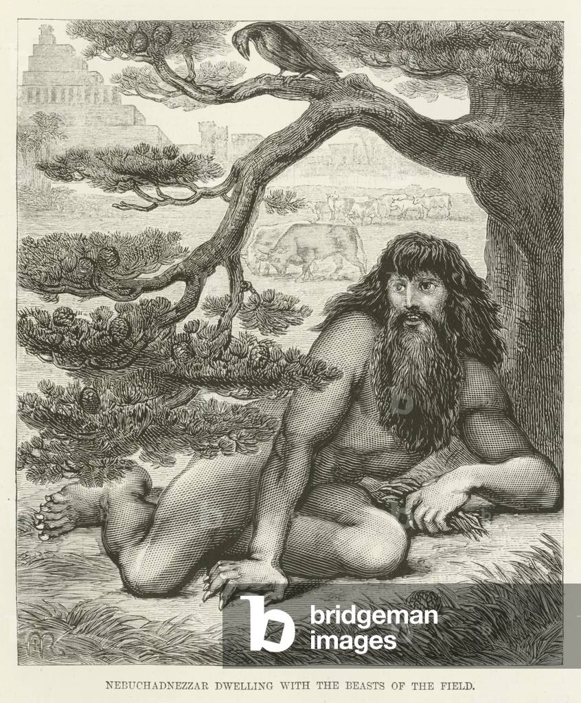 Nebuchadnezzar dwelling with the beasts of the field (engraving)