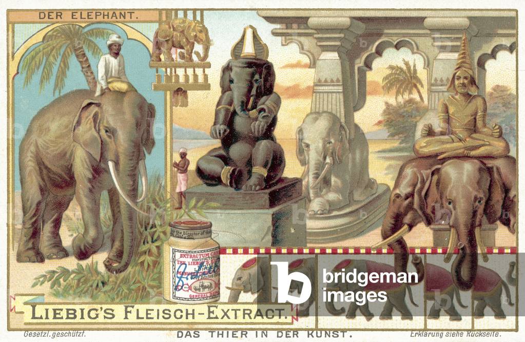 The elephant (chromolitho)