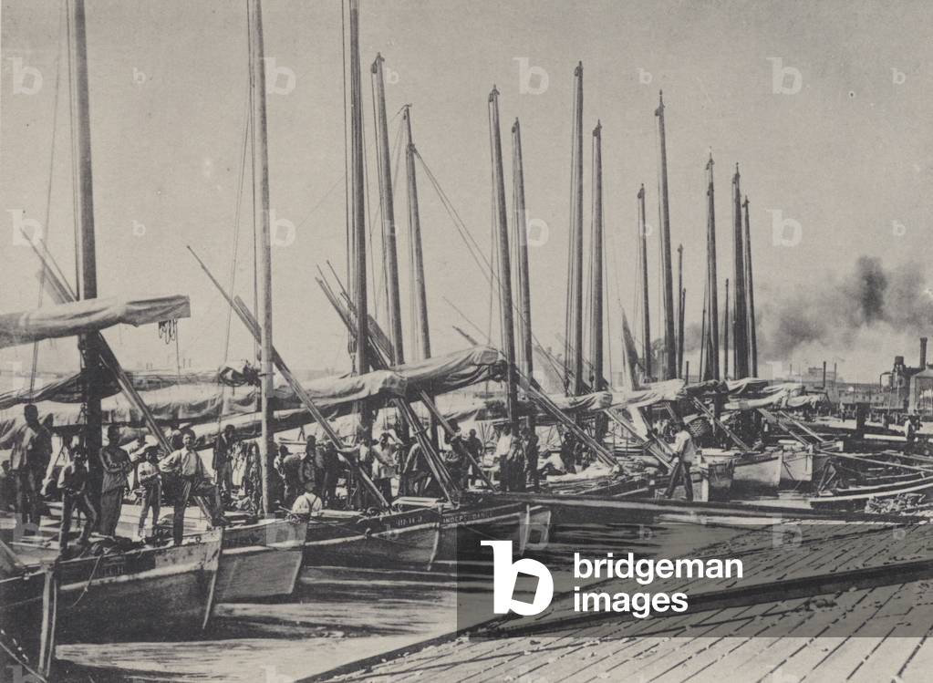 New Orleans: Lugger Landing (b/w photo)