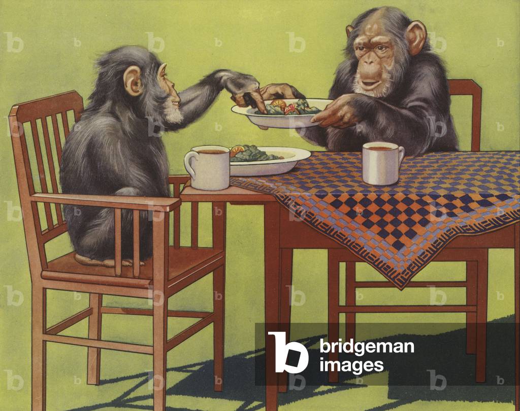 The Chimpanzee's Tea Party (colour litho)