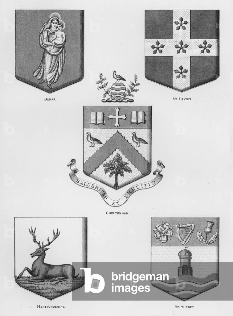 Public arms: Banff; St Davids; Cheltenham; Hertfordshire; Belturbet (engraving)