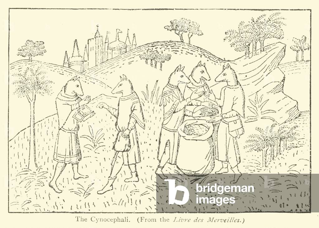The Cynocephali (engraving)