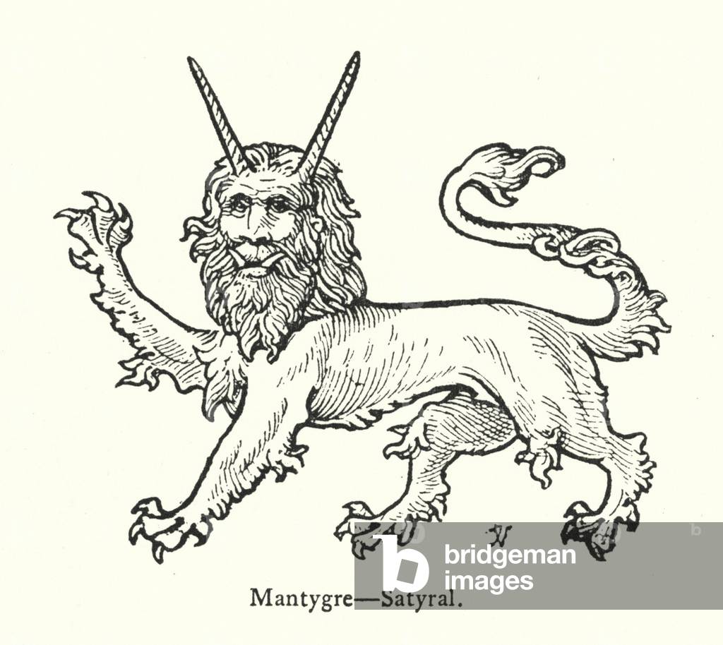 Mantygre, Satyral (engraving)