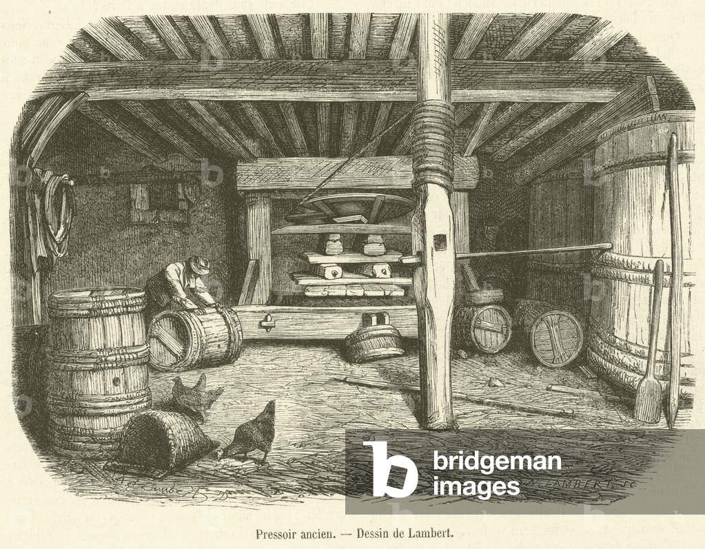 Pressoir ancien (engraving)