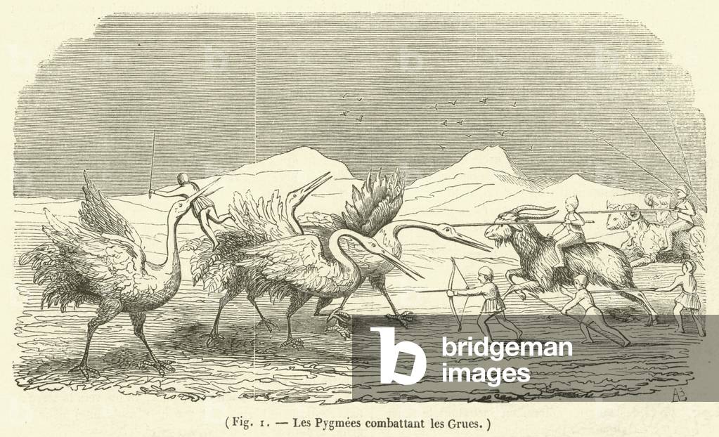 Les Pygmees combattant les Grues (engraving)