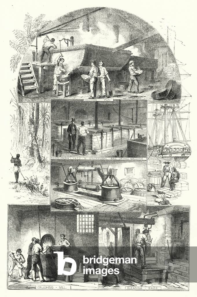 Sugar Refining (engraving)