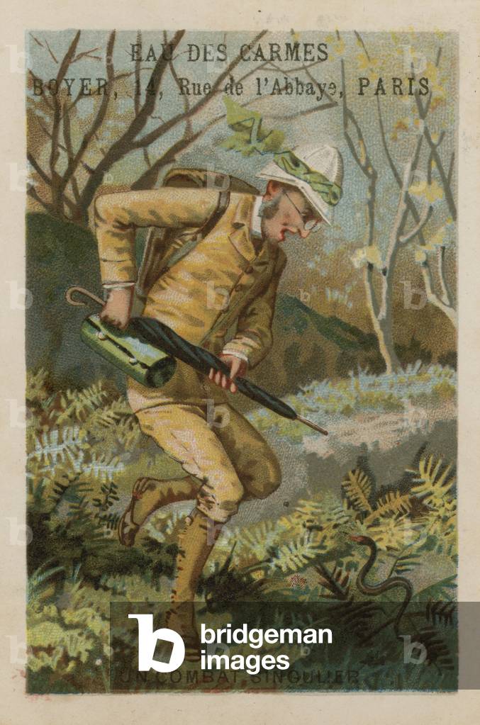 A singular struggle (chromolitho)