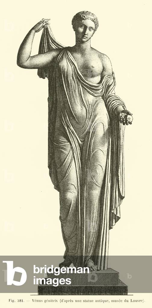 Venus genitrix (engraving)