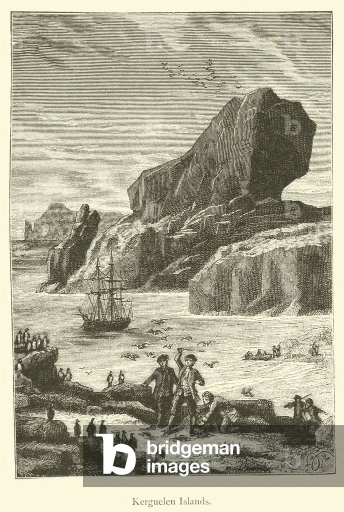Kerguelen Islands (engraving)