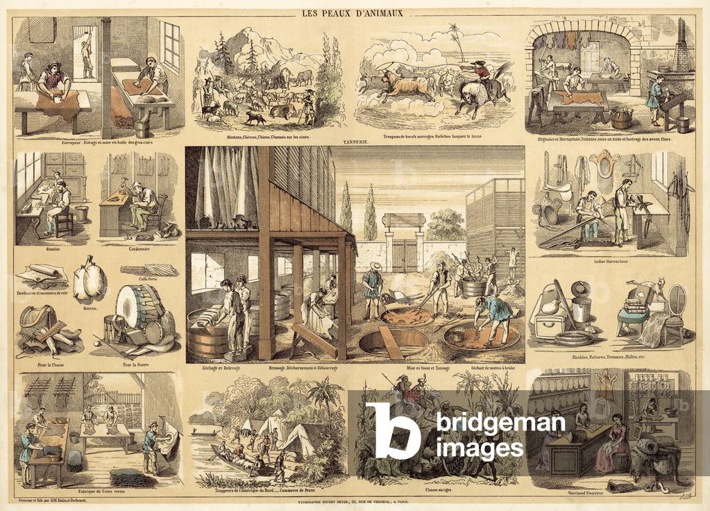 The Skins of Animals (colour litho)