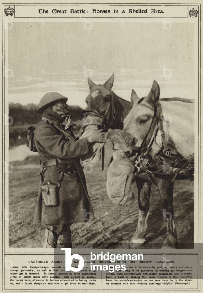The Great Battle, horses in a shelled area, gas-shells about, a gas-masked driver fixing his horses' gas-masks (b/w photo)
