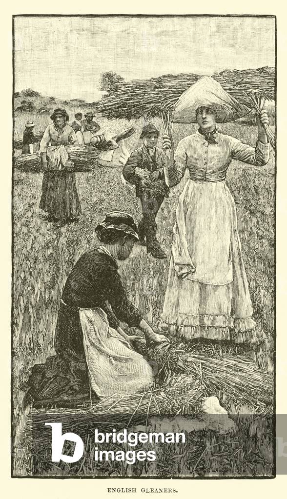 English gleaners (engraving)