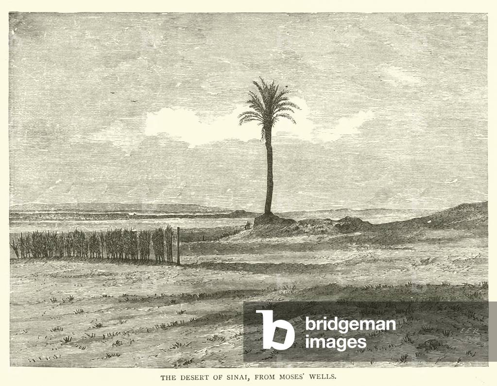 The Desert of Sinai, from Moses' Wells (engraving)