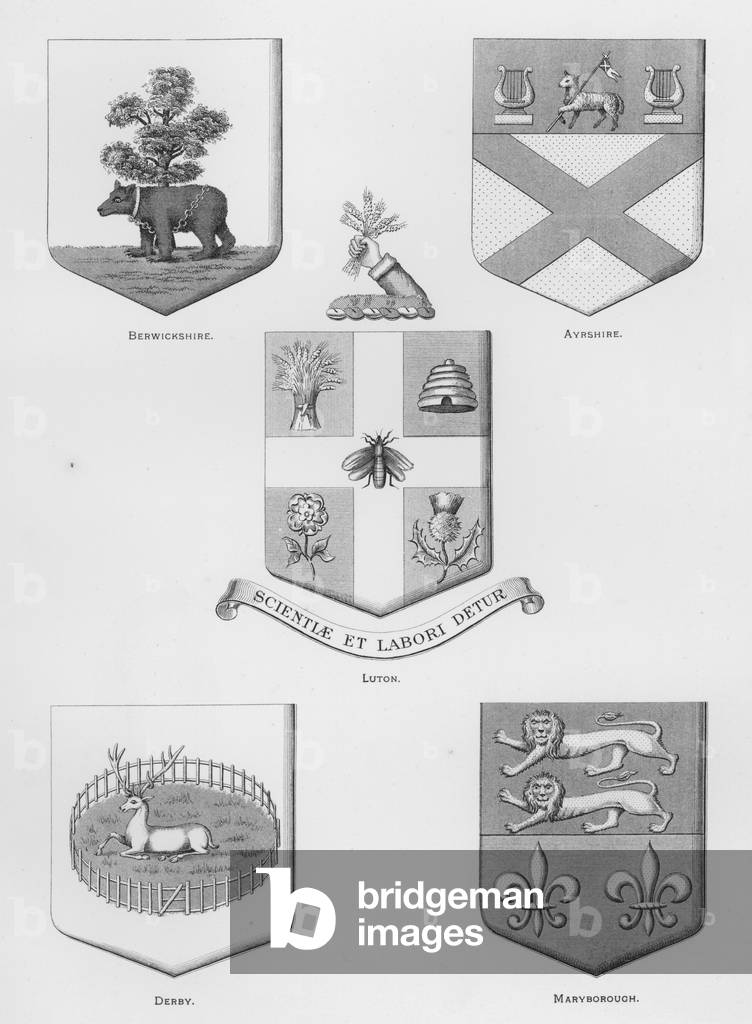 Public arms: Berwickshire; Ayrshire; Luton; Derby; Maryborough (engraving)