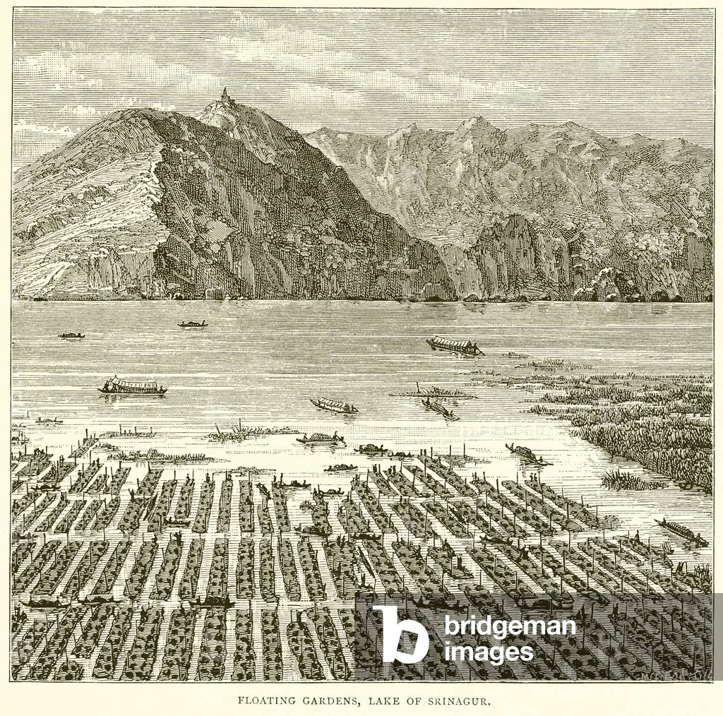 Floating Gardens, Lake of Srinagur (engraving)