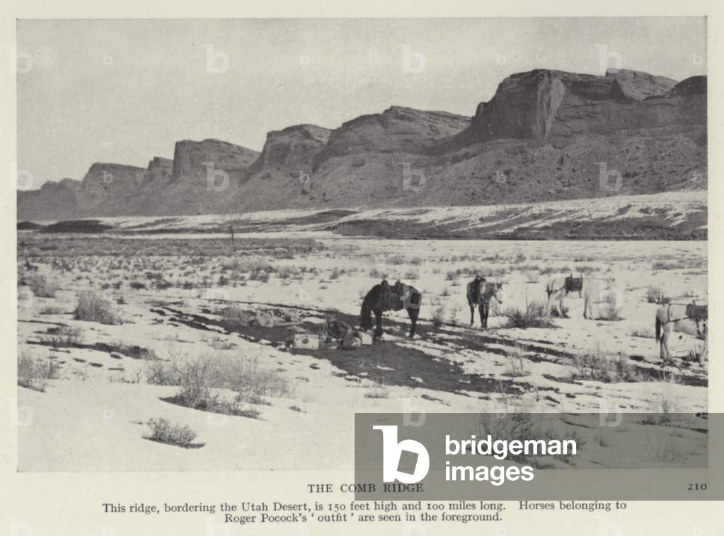 The Comb Ridge (b/w photo)