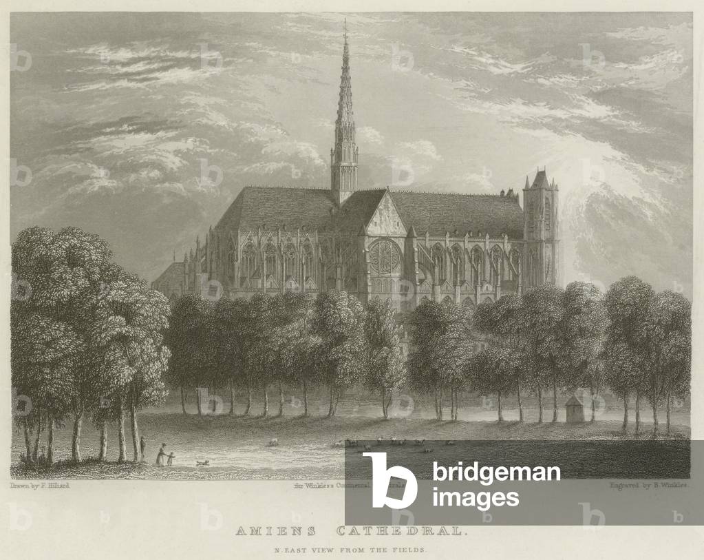 Amiens Cathedral, North East View from the Fields (engraving)