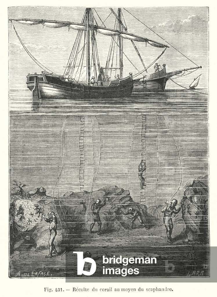Recolte du corail au moyen du scaphandre (engraving)