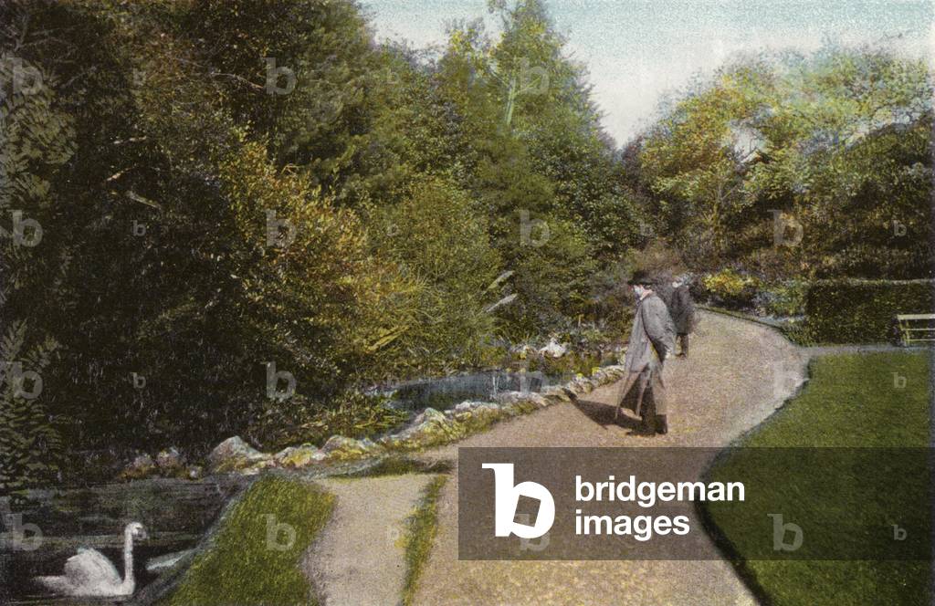 View in Ventnor Park (photo)