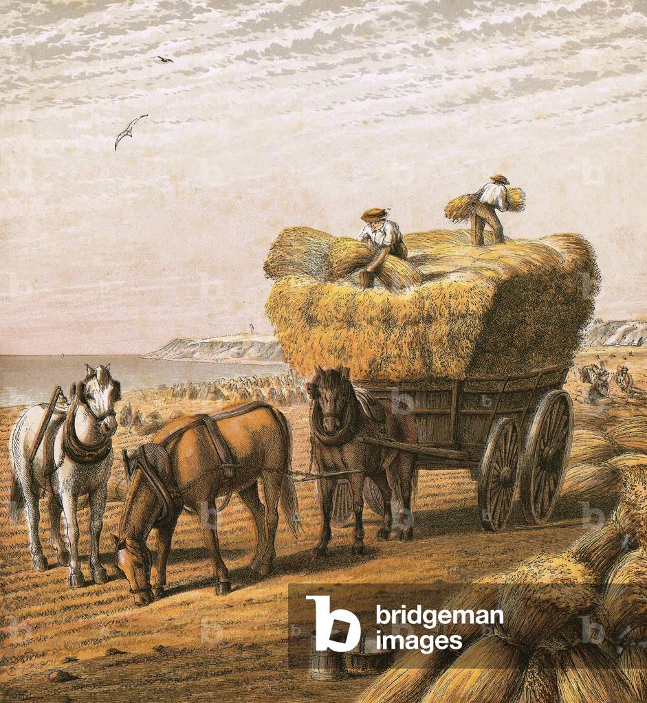 Bringing in the harvest