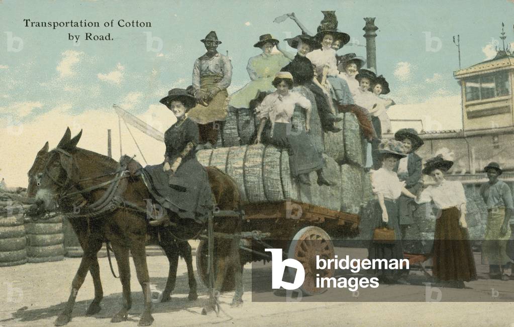 Transportation of cotton by road (colour photo)