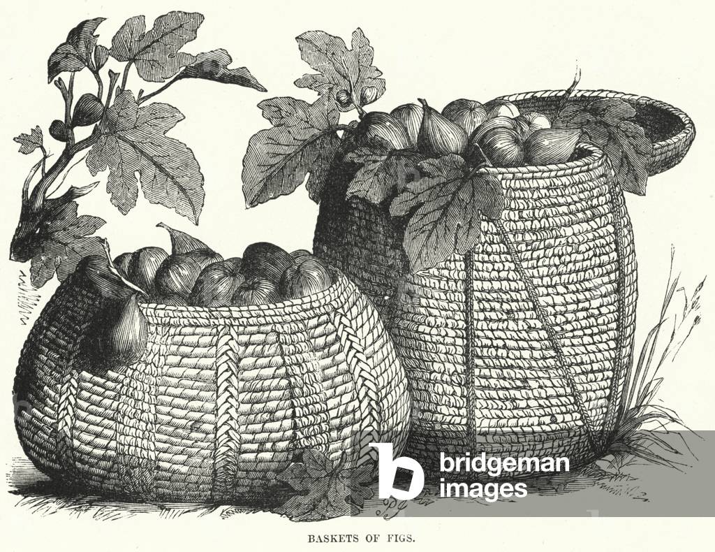 Baskets of Figs (engraving)