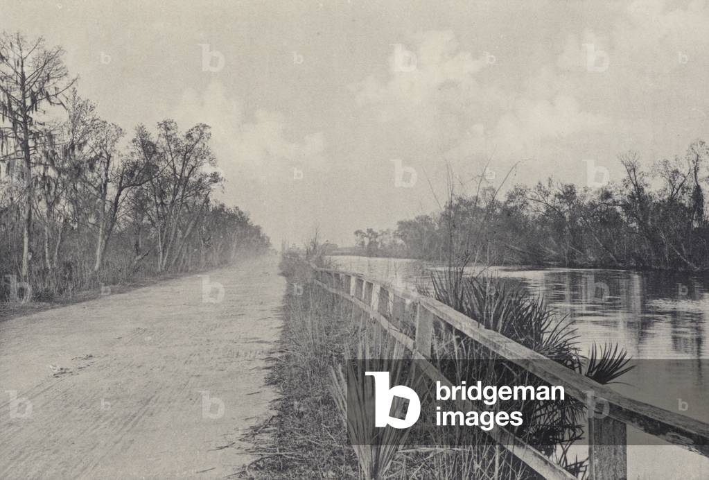 New Orleans: The Canal, near West End (b/w photo)