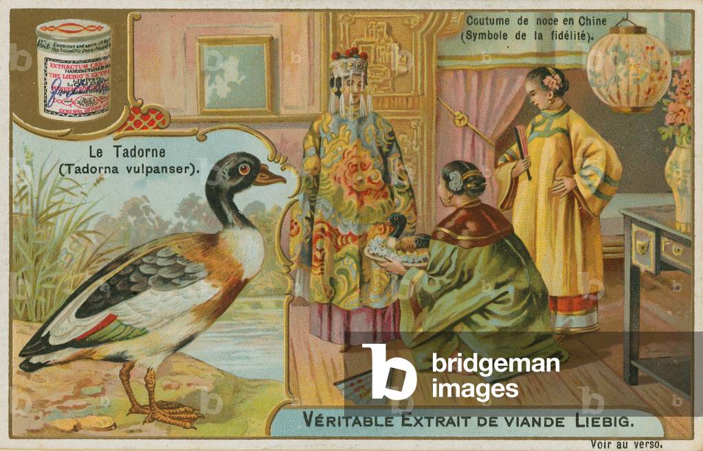Shelduck; offered as a wedding gift in China where it is regarded as a symbol of fidelity (chromolitho)