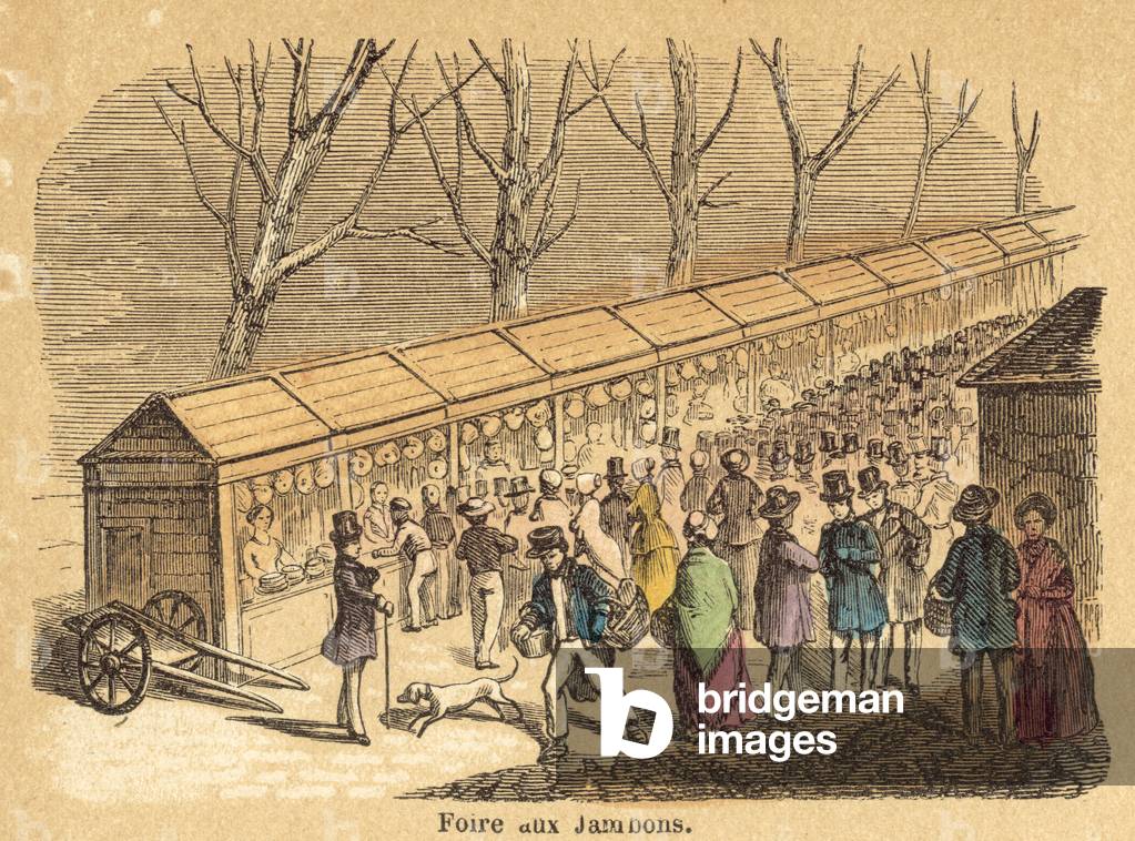 Pig (coloured engraving)