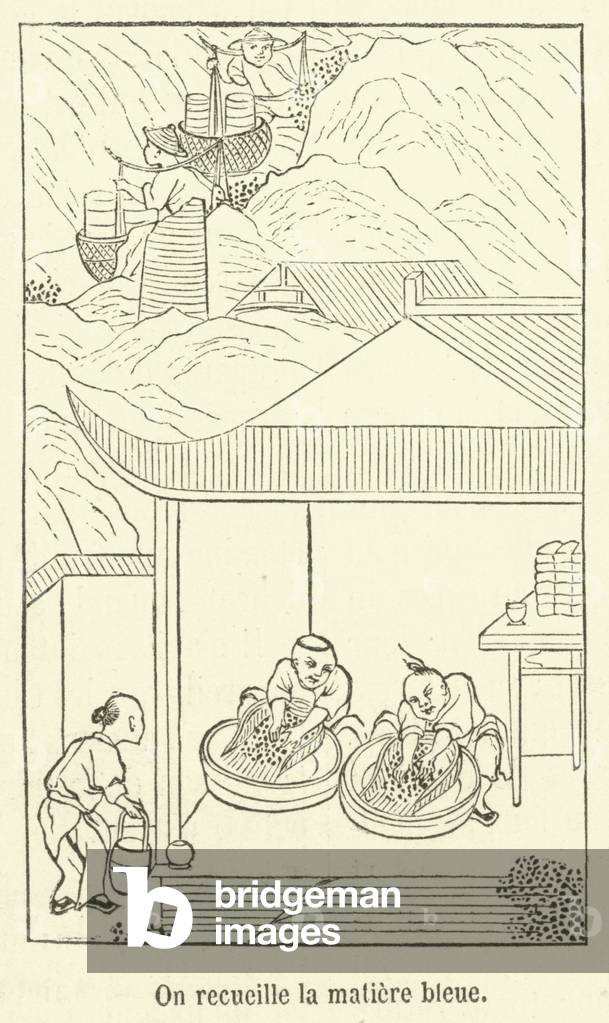 On recueille la matiere bleue (engraving)