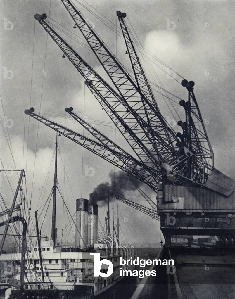 Gladstone Dock (b/w photo)