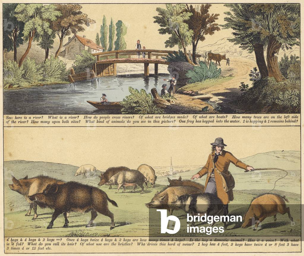 Page from The New Picture Book (colour litho)