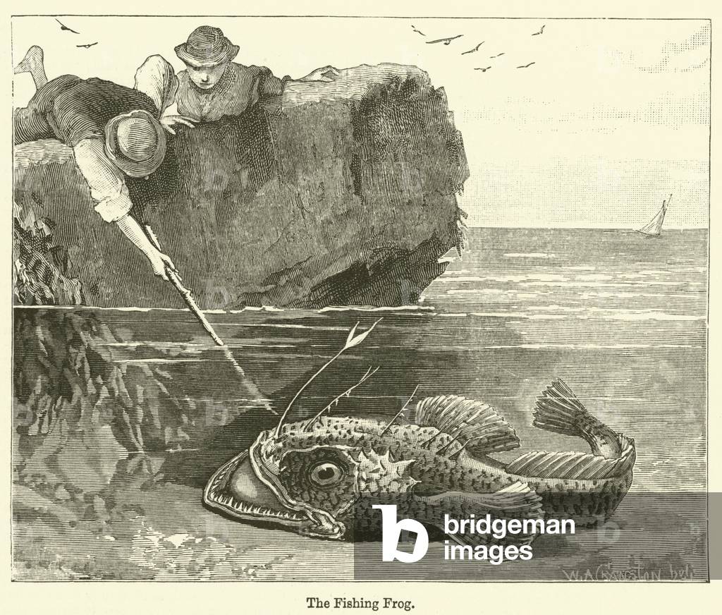 The Fishing Frog (engraving)