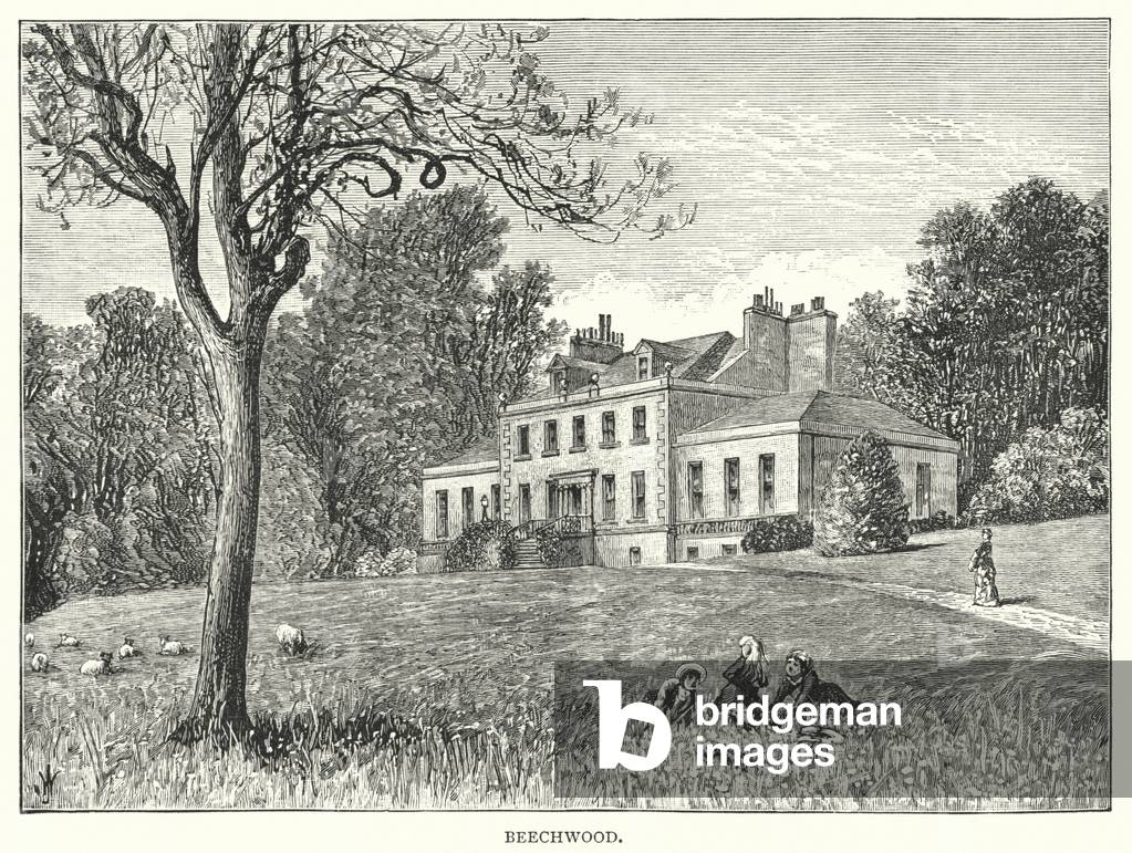 Beechwood (engraving)