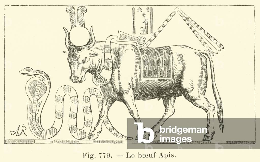 Le boeuf Apis (engraving)