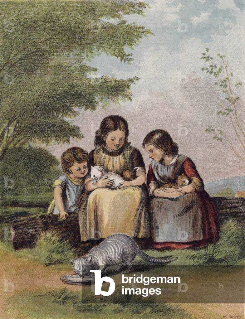 The Pet Kittens (colour litho)