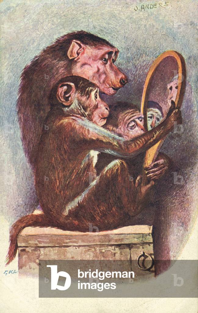 Three monkeys looking at their reflection in a mirror (colour litho)